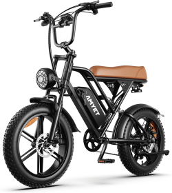 G60 Electric Bike-1000W Single Motor, 48V 15AH, 45-55KM Range, 30MPH Speed, 20-Inch Fat Tires, Dual Suspension, Disc Brake  E-Brake (Option: Brown)