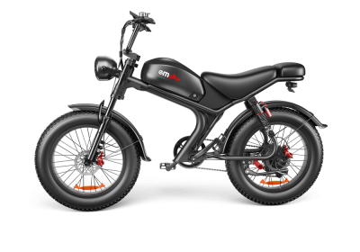 C93- Dual-drive High-speed Electric Bike (Option: A)